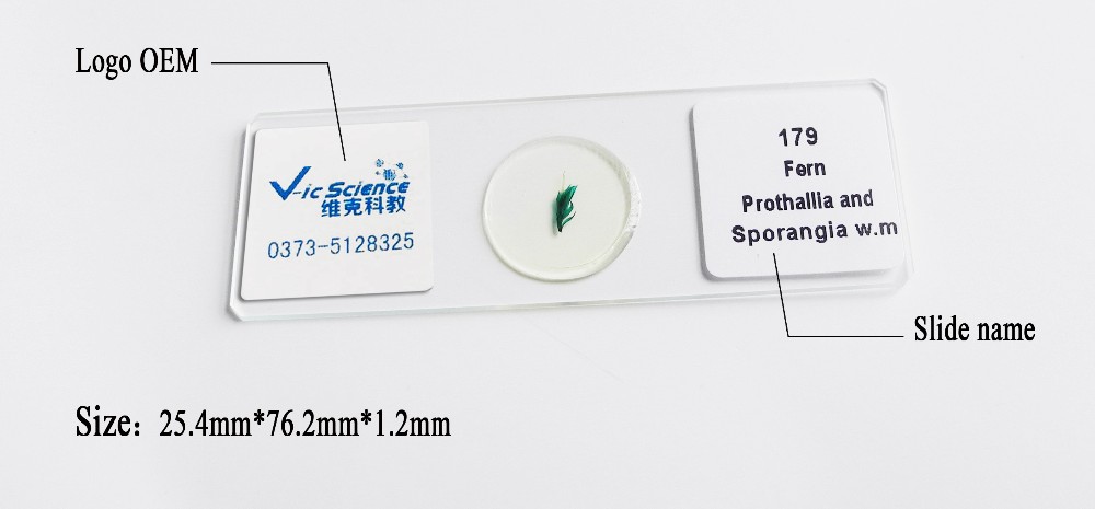 30Pcs Plant Animal Histology Prepared Microscope Slides