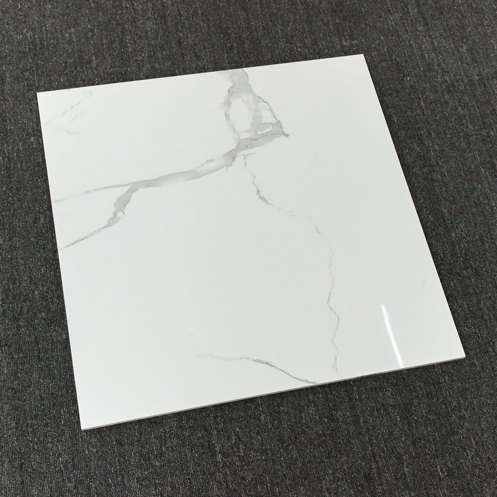 20x40 釉陶瓷墙砖 20x20 无釉 16x16 釉面地板