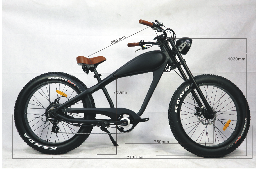 2021レトロ電動自転車/安い電動自転車/クラシックヴィンテージE