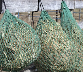 1 inch fish netting Grepol-V Aquarium Net, 5 Fine Mesh Fish Tank with Extendable 9-24 inch Long Handle : Pet Supplies Great for transferring fish between tanks Fish Net - 8 inch