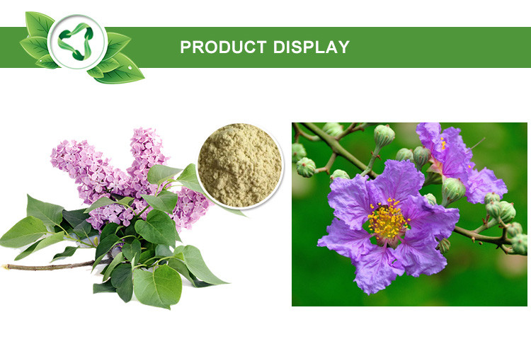 corosolic acid banaba leaf extract