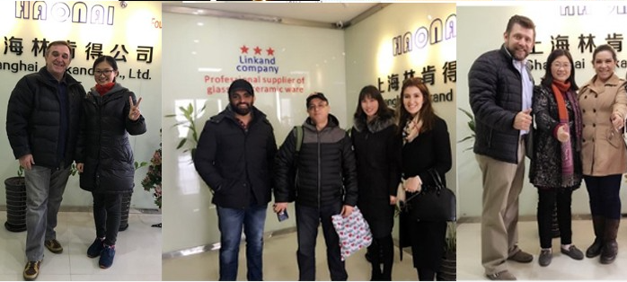 Haoani Glass Red Wine Goblets Glass White Wine Goblets Red Wine Glass Dishwasher Proof Lead Free Crystal