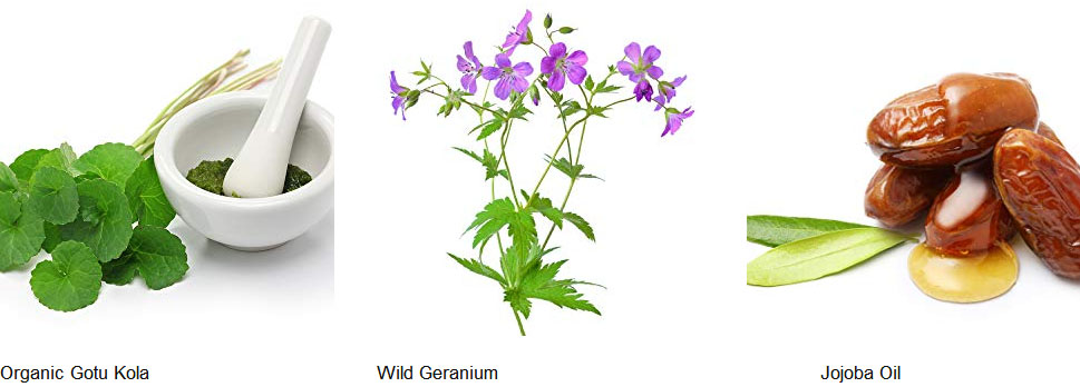 Hot Selling Natural Organic Body Skin Care Whitening Cherry Body Lotion