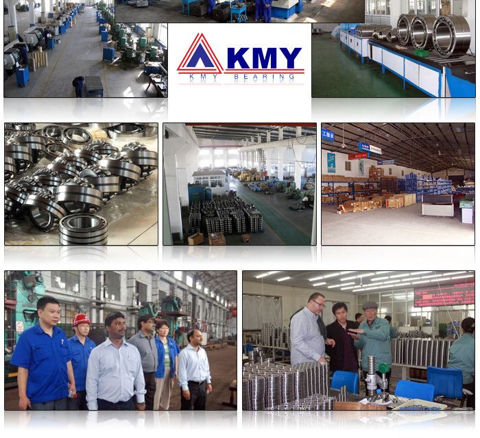 roller bearing NU1034 cylindrical roller bearing nu1034