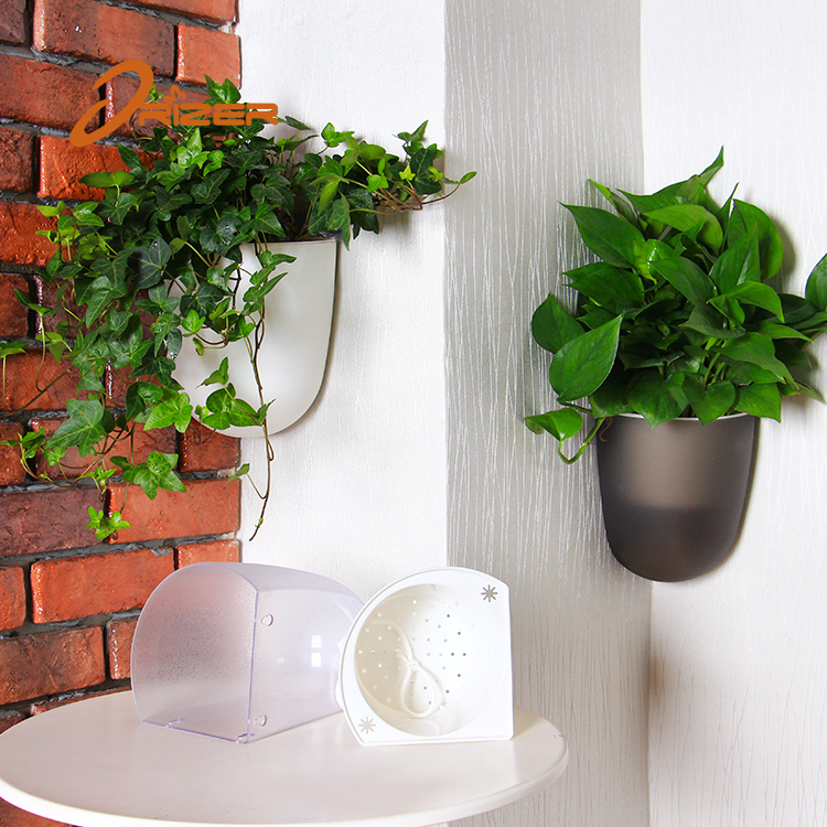 fiddle leaf fig for sale Bambino Fiddle Leaf Fig Tree - 14" Pot
