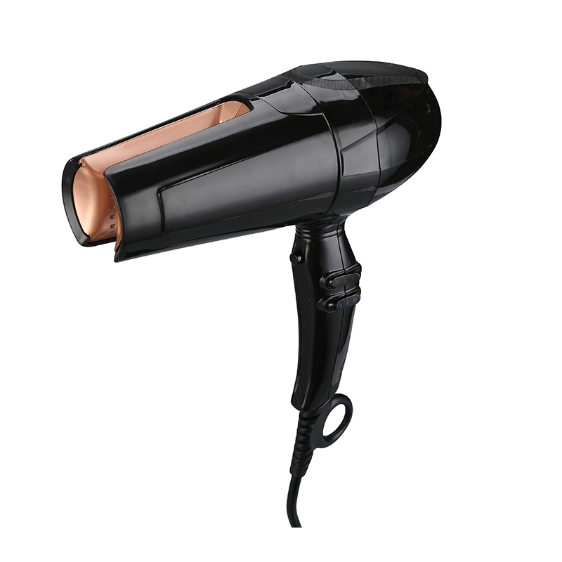 New Designed in Hair Dryer Heater& Hair Straightener Professional Salon  Hair Blow Dryer Blow Dryer and Straightening Iron