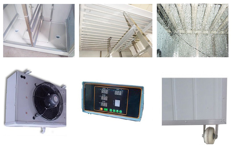 Large Green Alfalfa Growing Hydroponic Fodder System