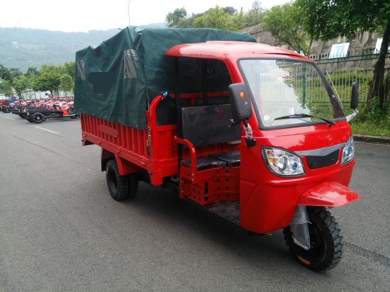 中国 oem 货物三轮车厂 250cc/300cc 摩托货物秘鲁/智利/玻利维亚南美