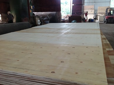 Commercial Plywood (8mm x 1220mm x 2440mm)