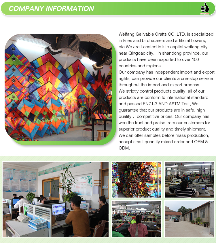 Wholesale Chinese Weifang New Flying Kid Delta Kite from the kite factory