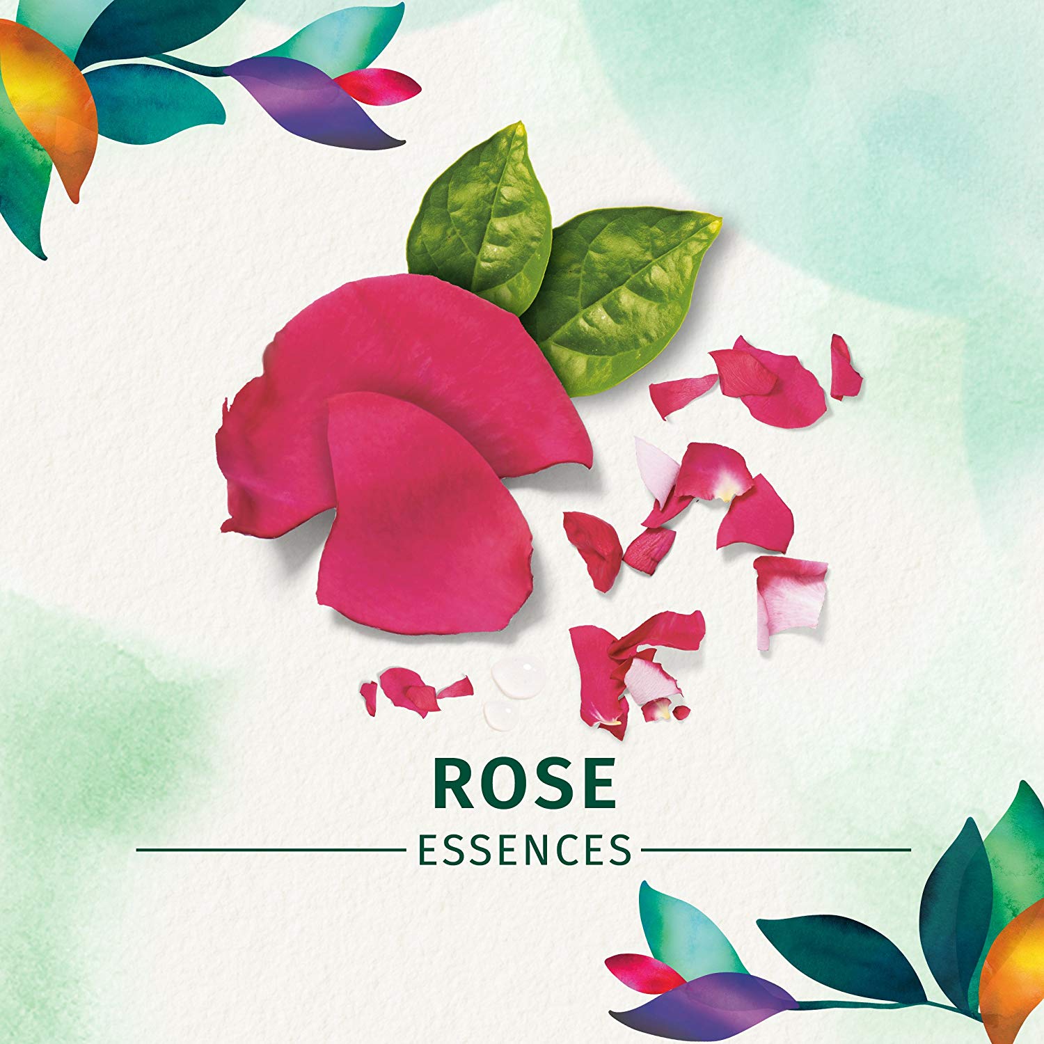 OEM Natural Organic Oil Control Hair Growth Rose Hair Shampoo