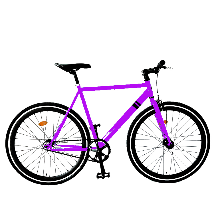OEM Customized 24 Inch Fixed Gear Bike - 700c Disc Brake Fixie