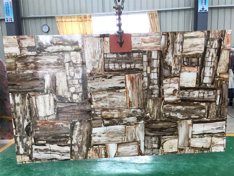 Polished Petrified wood marble slab  for decoration