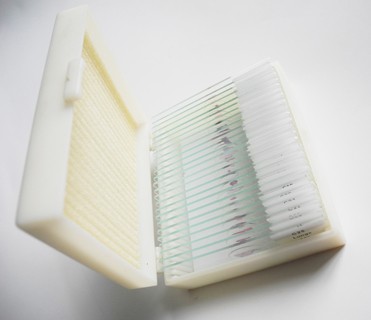 30Pcs Plant Animal Histology Prepared Microscope Slides