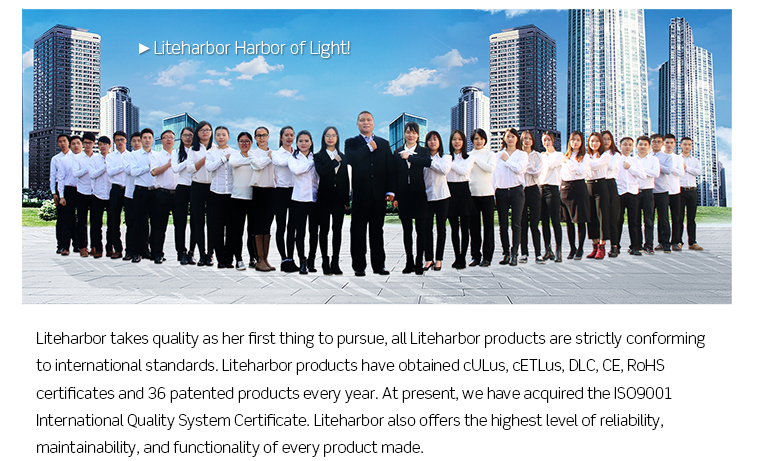 High Output adjustable c-ETL-us Line Volt. combined track light With10W LED track light
