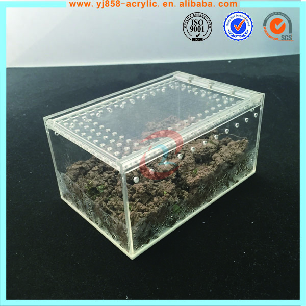 爬虫類用アクリル製スライド式蓋付きボックス（通気孔付き