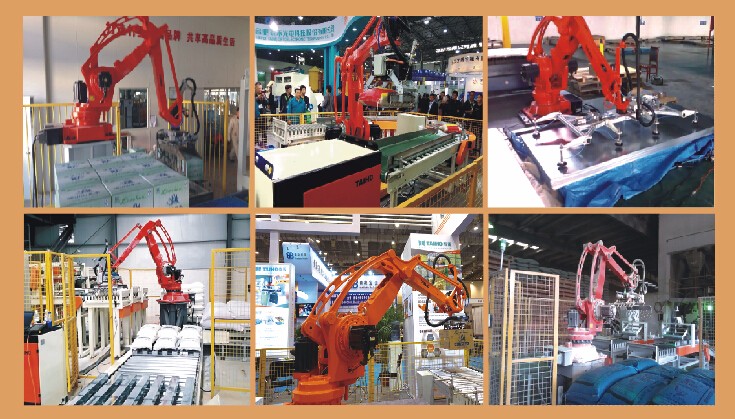 Taiho TR-F120/180 robotic palletizer for bag palletizing case/carton/box stacking CE certified from China