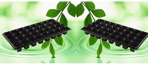 Convenient Eco Friendly Adenium Seeds Taiwan Seed Tray Plastic Seedling Tray