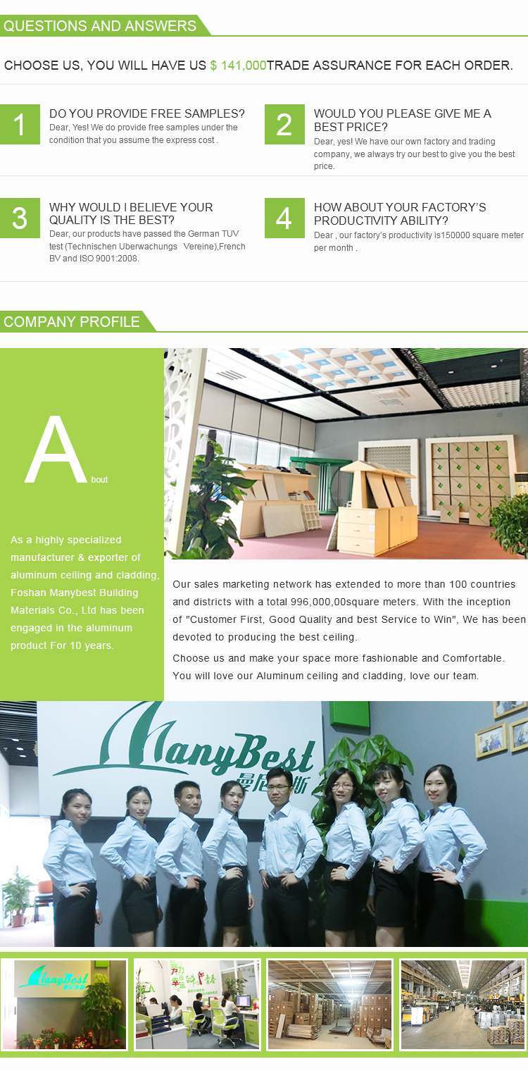 Fashionable Customized Exterior 3D wall cladding Aluminum wall panel
