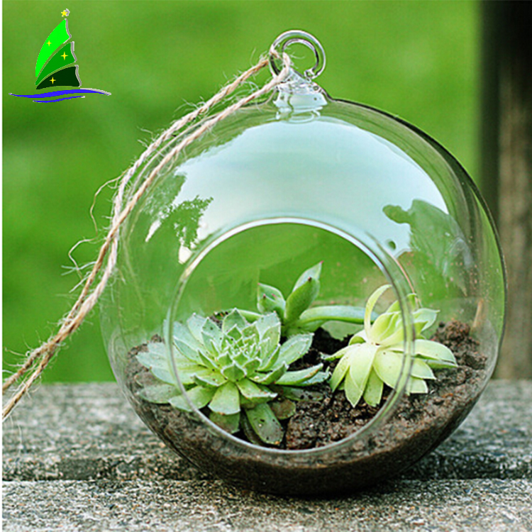 Ferrisland Terrario in vetro Wardian per piante grasse, piccolo vaso per piante grasse, con porta, decorazione da tavolo, regalo fai da te, 12,7 x 10,9 x 10,9 cm