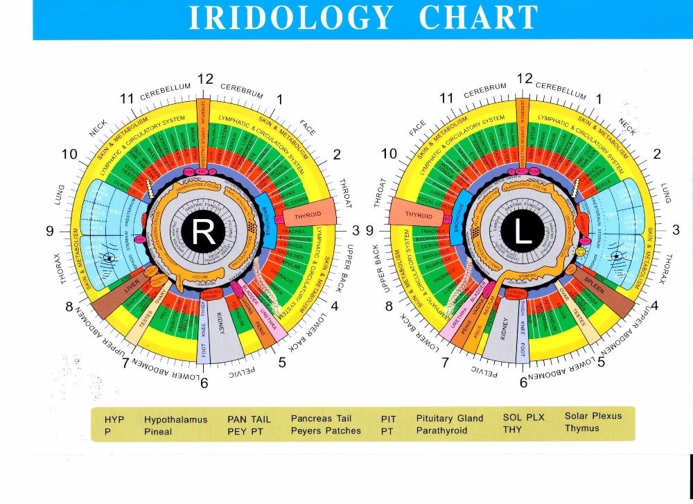 Portable Iriscope Iris Analyzer Auto Iridology Camera Eye Iriscope Analyzer Software