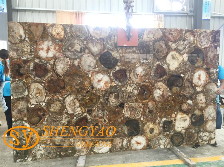 Polished Petrified wood marble slab  for decoration