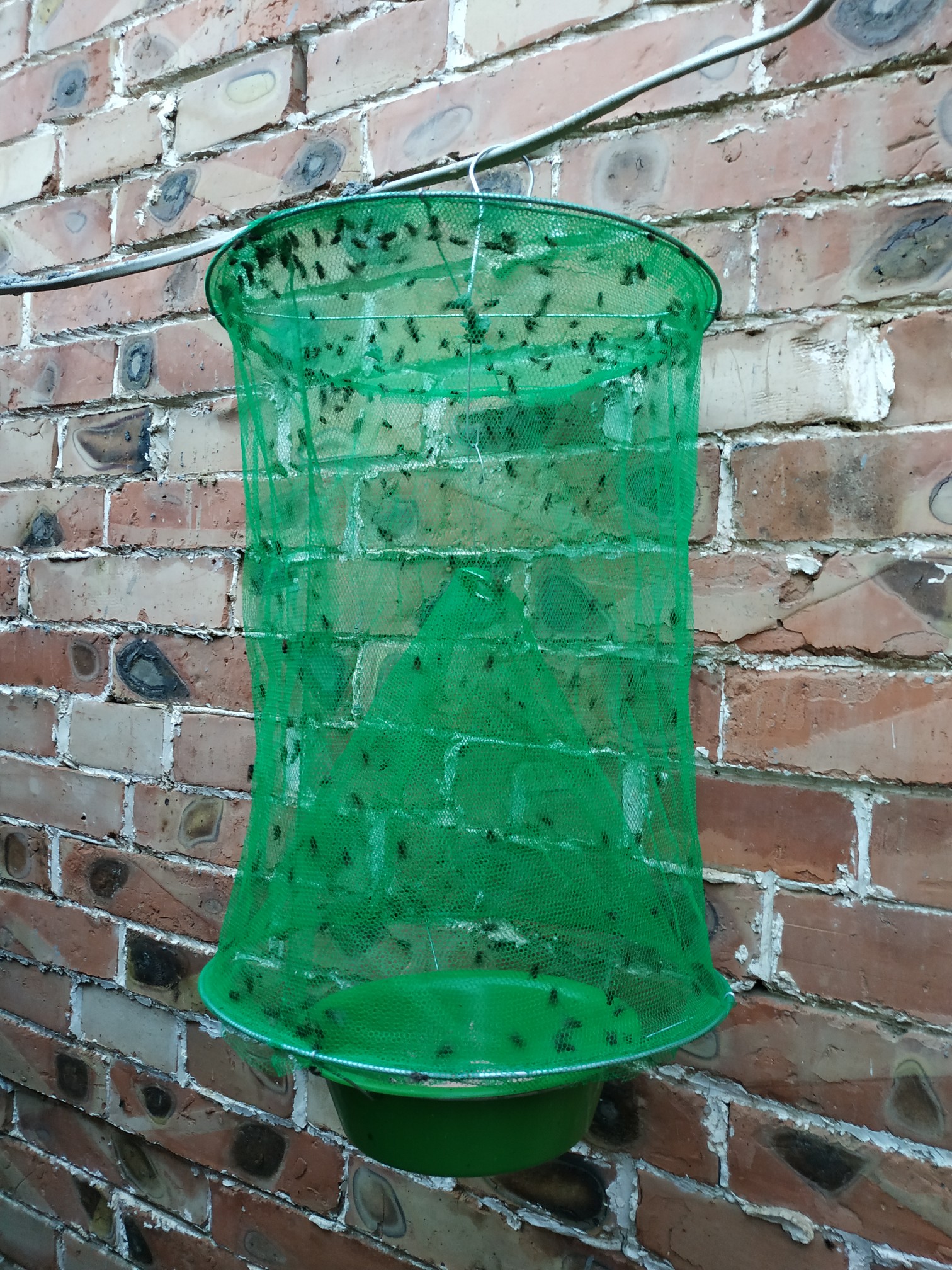 捕蝇器捕蚊器捕蚊器终极红色果蝇捕蝇器顶级捕蝇器苍蝇黄蜂昆虫杀手