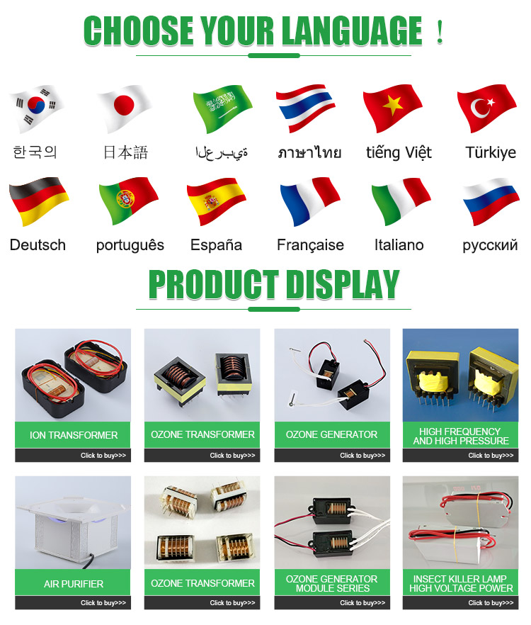 High power ozone transformer 220v Products from Zhongshan Fugui Electronics Co., Ltd.