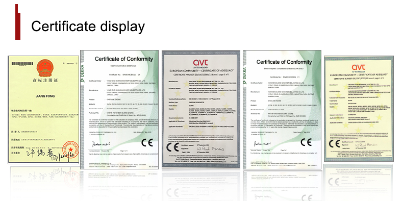 product-750-374.05063291139237 SLONG SL8000EDX electric start 2 wheels with handle 6kw gasoline generators