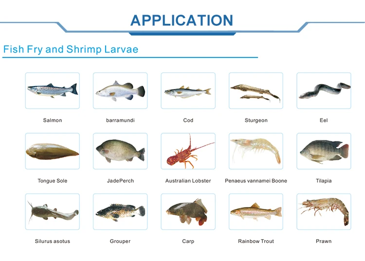 Shrimp Farming Equipment RAS System,shrimp farm for sale,aquaculture shrimp farming