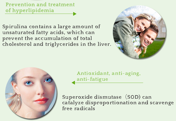 Lifeworth wholesale chlorella spirulina powder