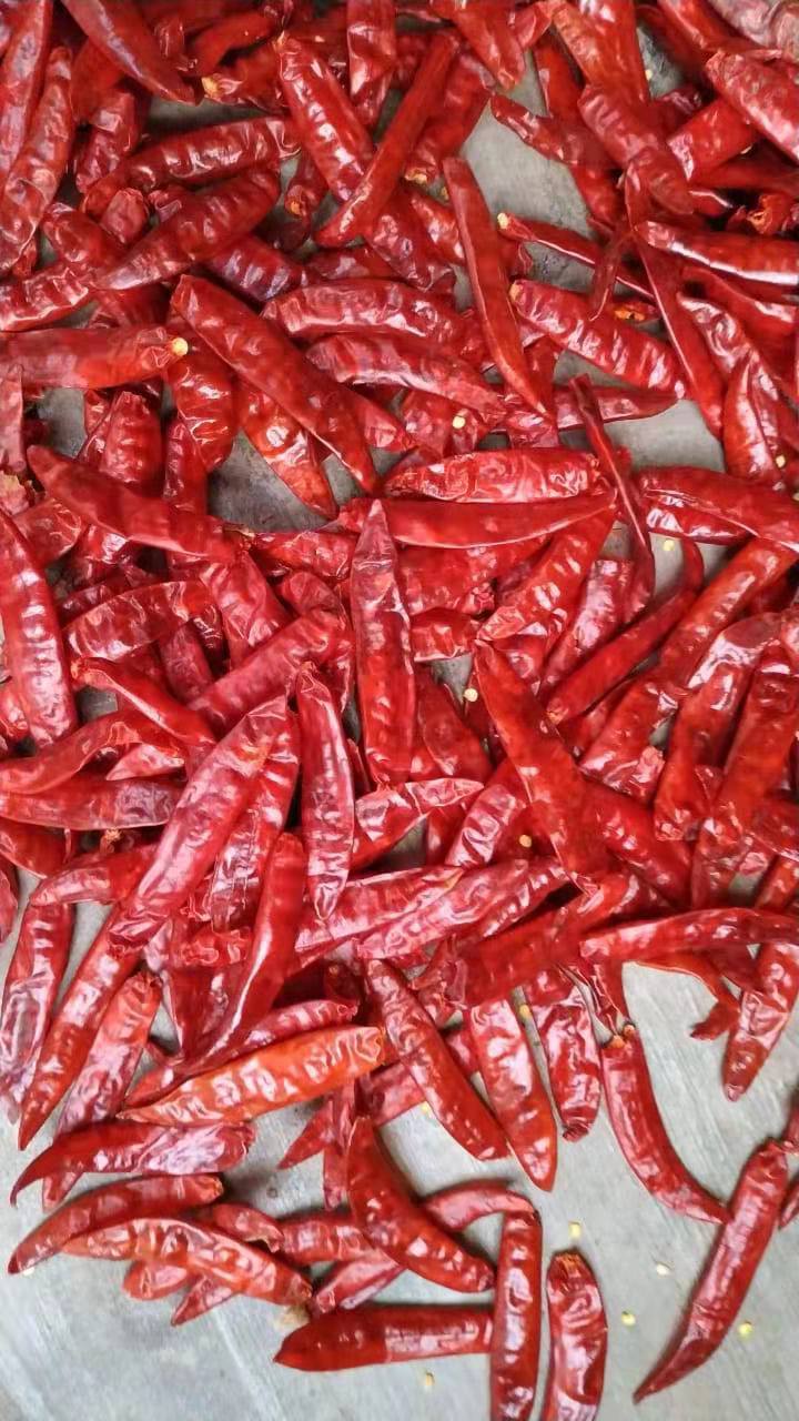teja s4辣椒teja s17印度辣椒teja s17进口出口红辣椒干红辣椒