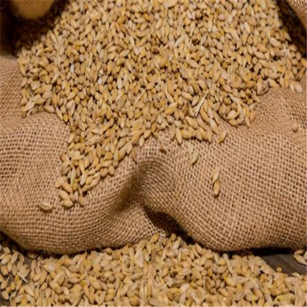 Best Barley For Animal Feed and Human