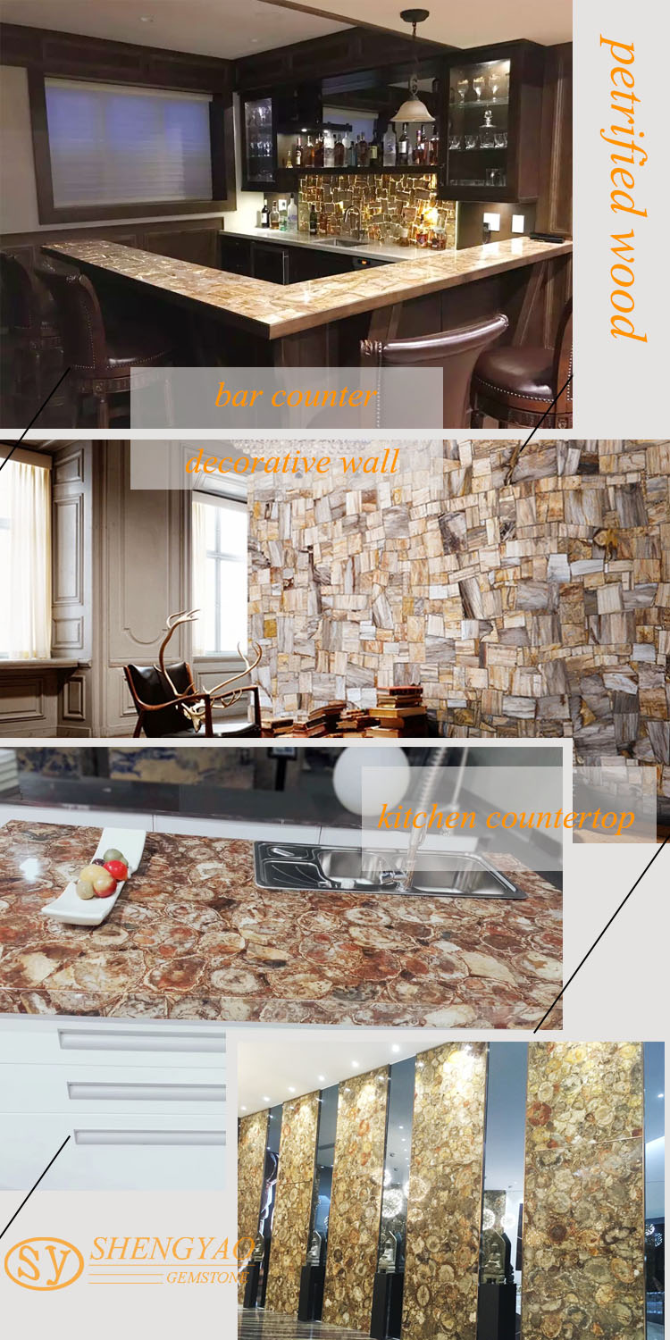Polished Petrified wood marble slab  for decoration