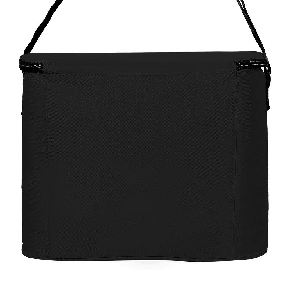 Haut-parleur isol&eacute; sac de glace pique-nique bi&egrave;re sac isotherme pour les voyages en plein air
