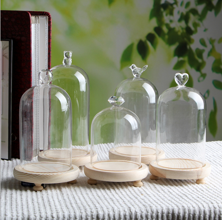 Factory Home Decor Customized Terrarium Clear Bell Jars Glass Domes China Borosilicate Glass Customized Packaging Modern
