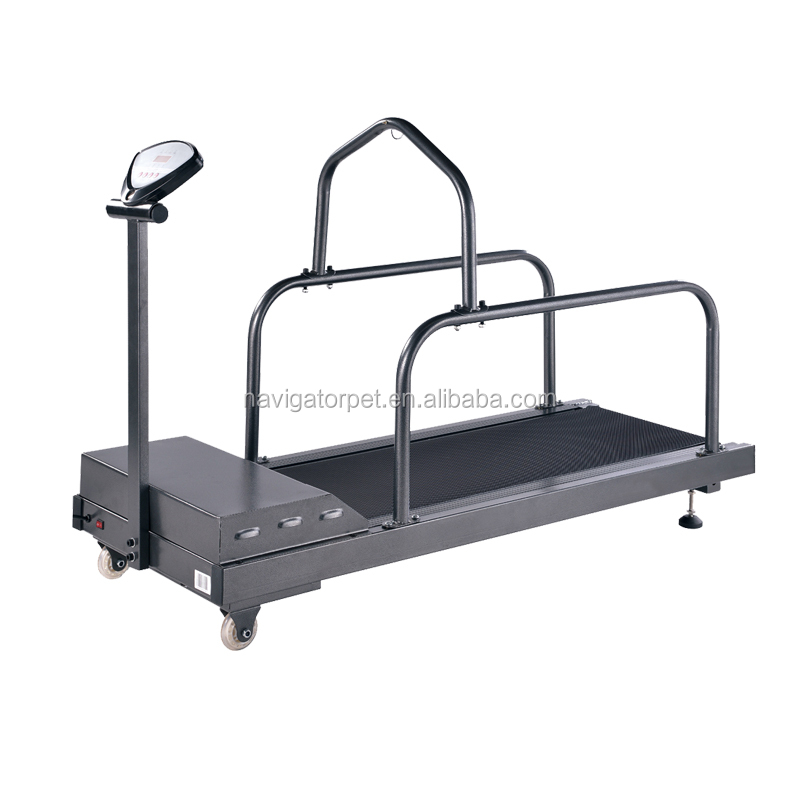 Folded Dog Treadmill