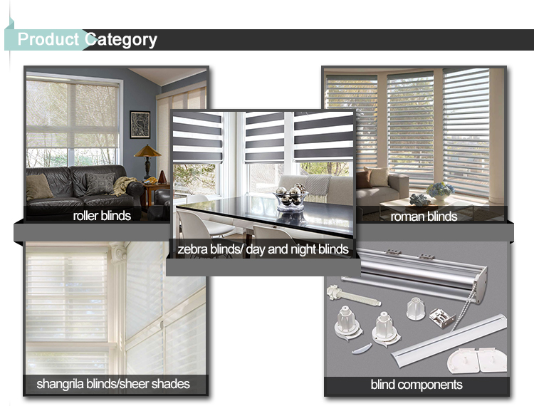 China window zebra blinds for home