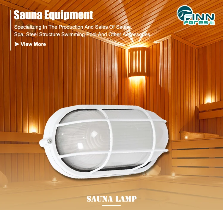 2018 Best quality Vapor-proof large round 12v sauna led light