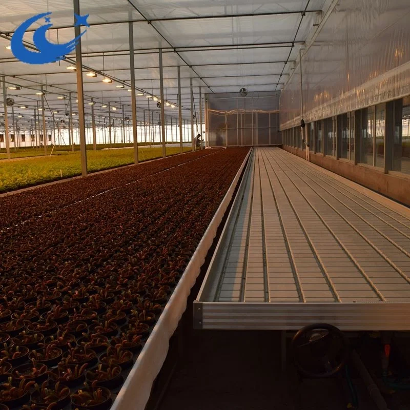 ABS Ebb and Flow Trays Hydroponic Flood Rolling Benches