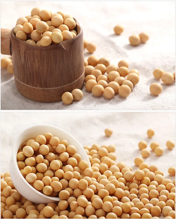 NON-GMO Soya Beans Soybeans