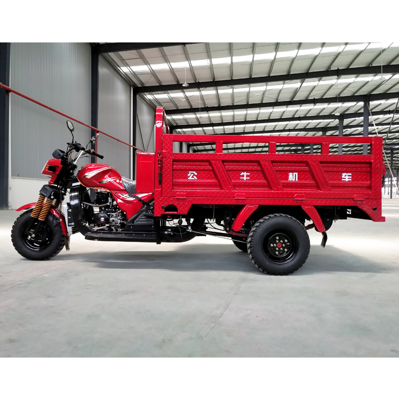 2021公牛热卖250cc摩托车货物三轮车