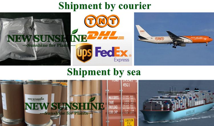 Hot Sale Insecticide Acetamiprid 96% TC 20% SP