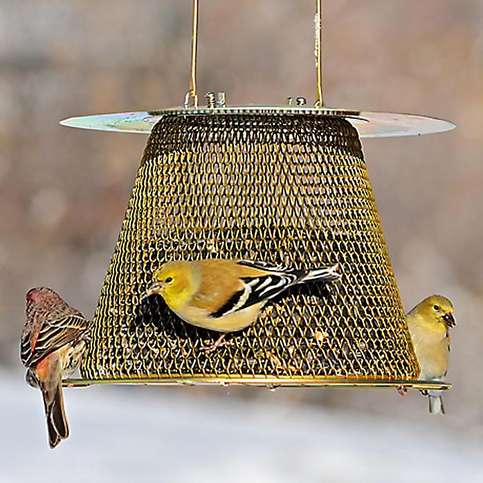松鼠证明焊接网格圆形野生金属喂鸟鸟 - buy metal bird feeder,round