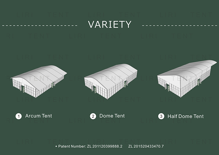 Arcum Shape Movable / Permanent Sport Tent for Tennis Court from Liri Tent for Sale