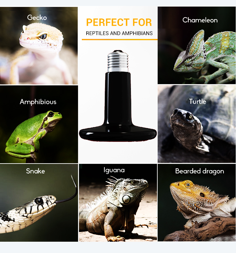 product-750-806 25w 40w 60w 100w 150w Ceramic Emitter Heater infrared lamp for lizards