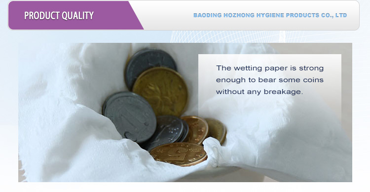 Wholesale Raw Pulp Coreless Private Brand Water-Soluble Toilet Paper，Best Price