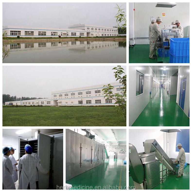 Food grade Premium quality raw natural china bulk zhuling dried Umbellate Pore Fungus slices