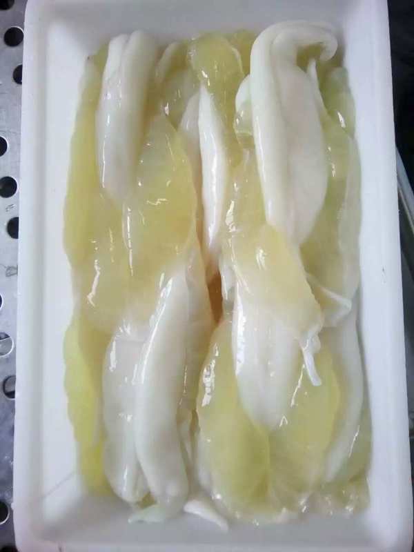 鱿鱼蛋乌贼冻鱿鱼子