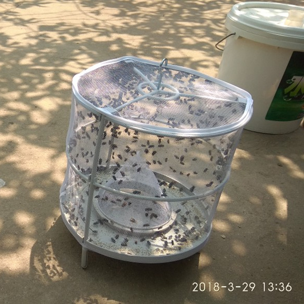塑料苍蝇捕手与迷你风格飞麦田里的守望者》陷阱捕蚊器昆虫诱捕器害虫